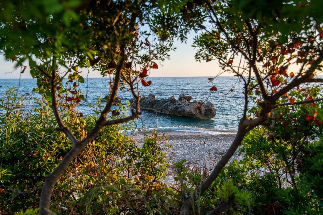 The Happiness Of Vangelis Paralia Vrachou Exterior photo