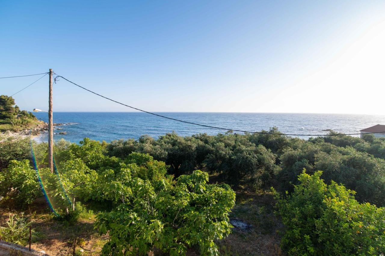 The Happiness Of Vangelis Paralia Vrachou Exterior photo